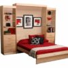 Euro Wall Bed Open - Wallbeds n More Scottsdale